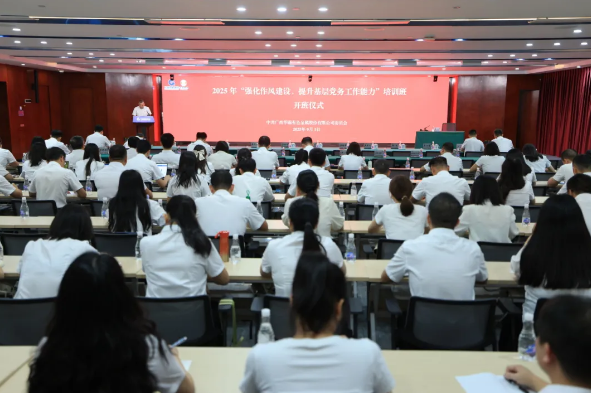錘煉過硬作風(fēng) 筑牢戰(zhàn)斗堡壘 &mdash;&mdash;華錫有色2025年&ldquo;強(qiáng)化作風(fēng)建設(shè)，提升基層黨務(wù)工作能力&rdquo;培訓(xùn)班圓滿舉辦